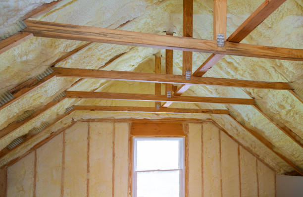 Best Insulation Installation Services in Kaloko, HI