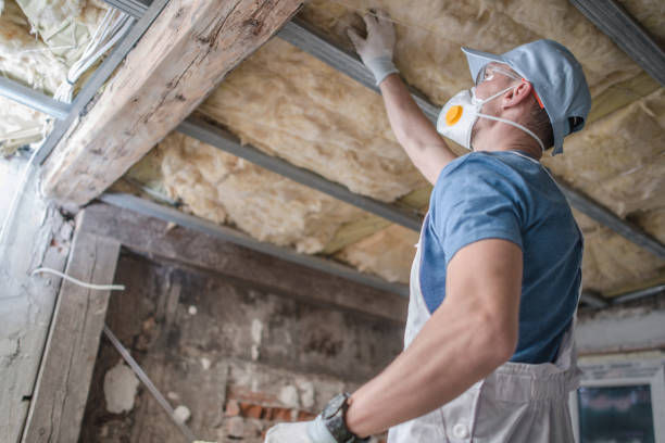 Best Insulation Maintenance and Repair in Kaloko, HI