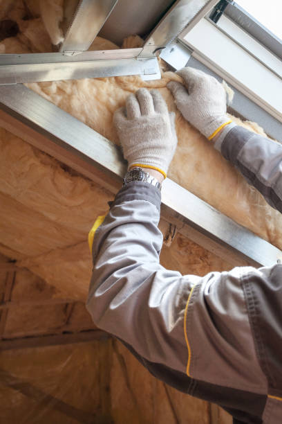 Best Types of Insulation in Kaloko, HI